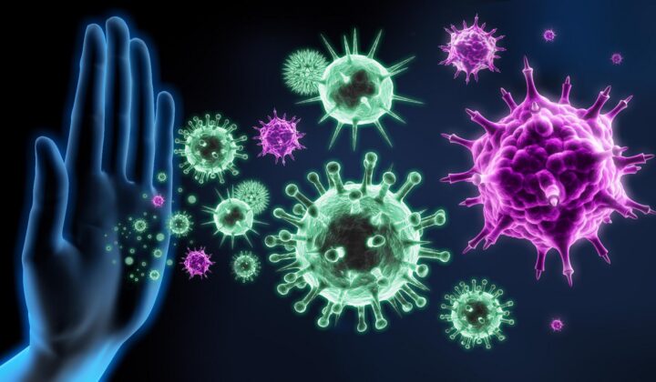 How to improve your immune system
