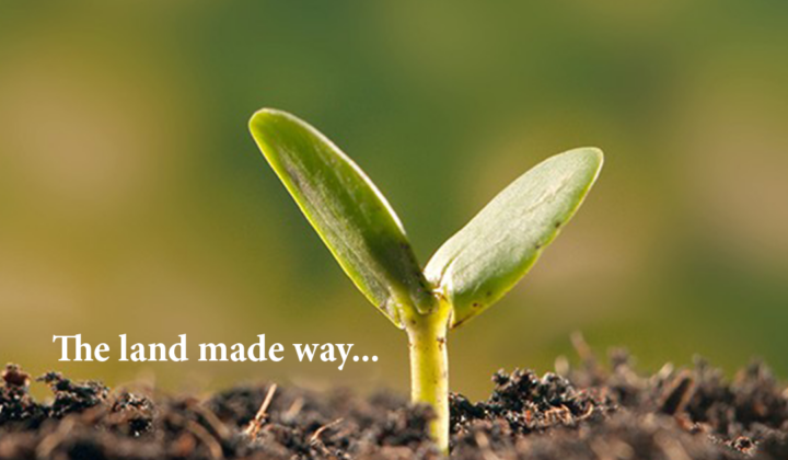 OUR STORY WILL INSPIRE YOU
